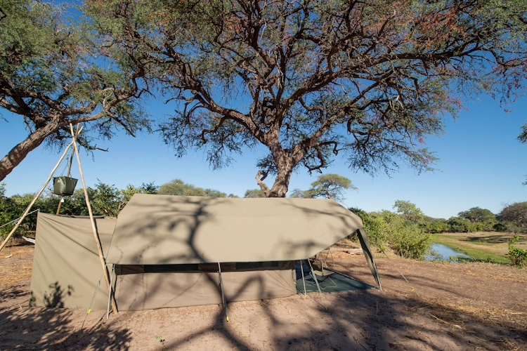 botswana baobabs en delta safari luxury mobile camping 2005.webp