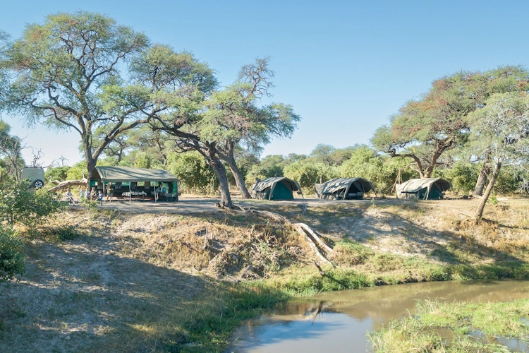 botswana baobabs en delta safari luxury mobile camping 1008.webp