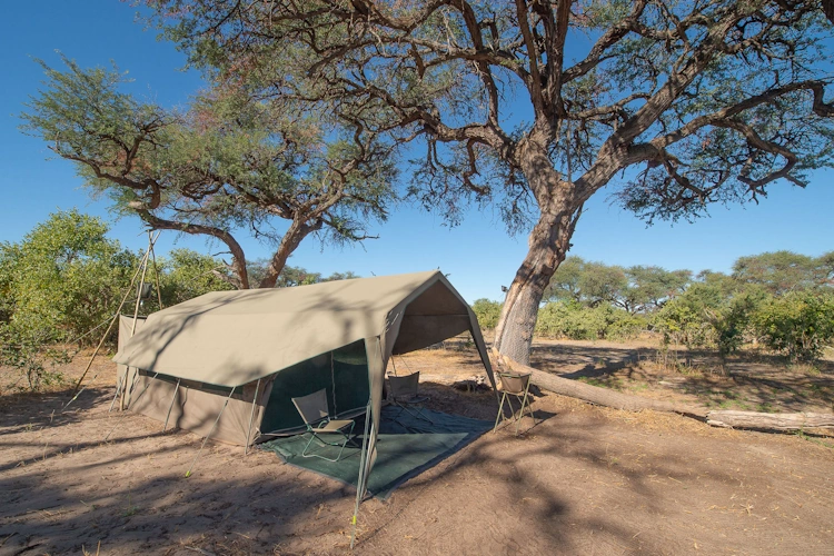 botswana baobabs en delta safari luxury mobile camping 2004.webp