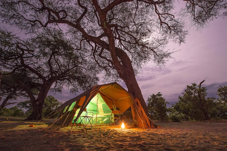 botswana baobabs en delta safari luxury mobile camping 2003.webp