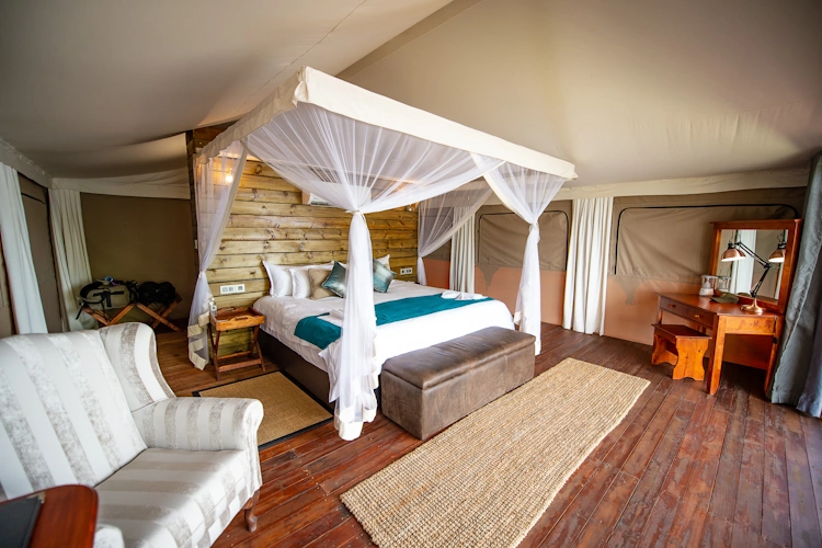 sunway botswana kasane jackalberry lodge 003.webp