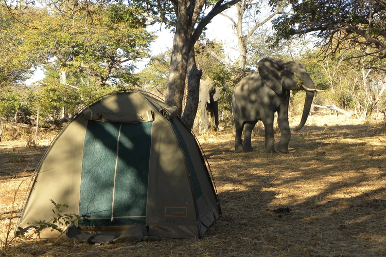 kampeersafari zimbabwe en botswana moremi campsite 2001.webp