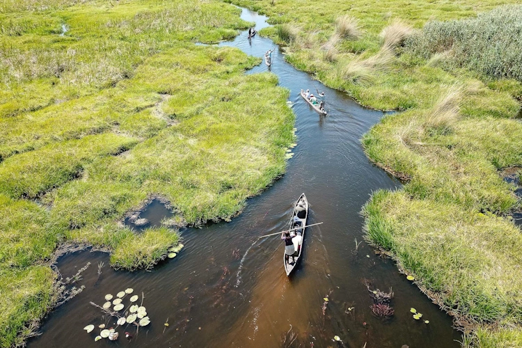 van kaapstad tot victoria watervallen botswana okavango klein.webp