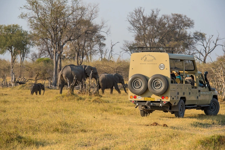 wildkamperen in botswana 002 klein.webp