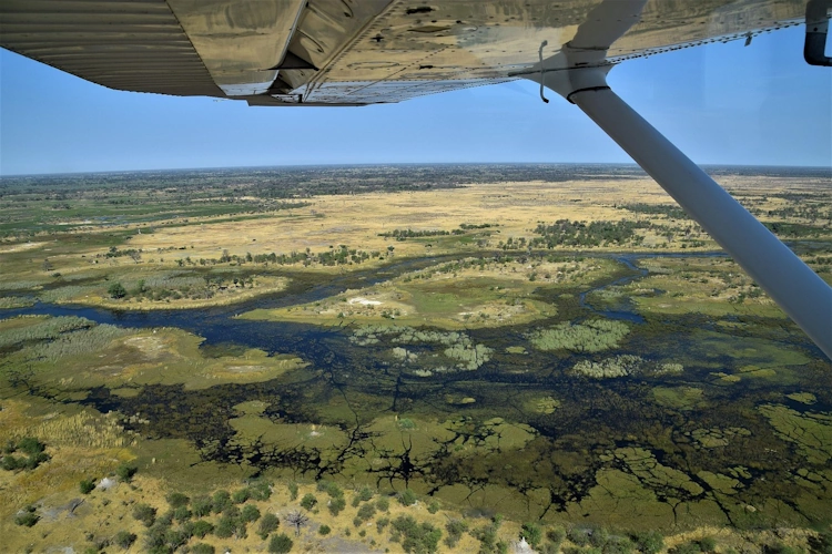 Botswana Maun vanuit vliegtuig