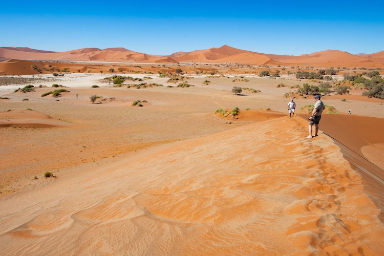 namibië en botswana van desert naar delta klein 015 namibia sossusvlei .webp