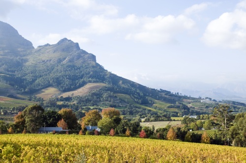 Stellenbosch